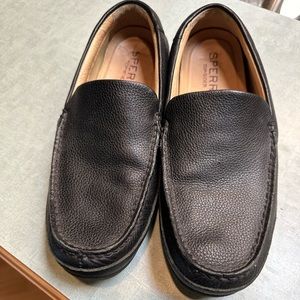 Sperry topsider hampden